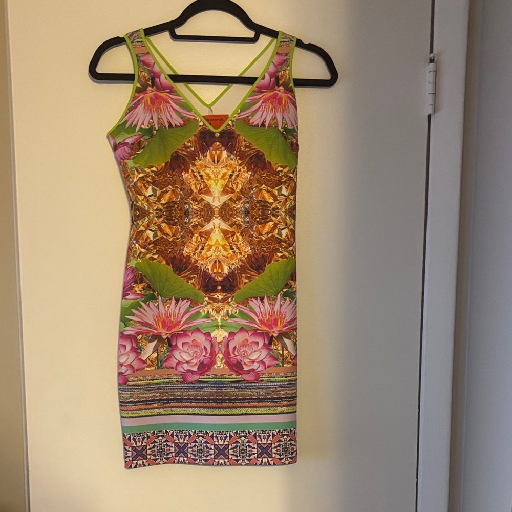 Clover Canyon Pink and Green Floral Mini Dress